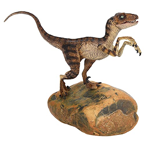Marhynchus Lifelike Dinosauriermodell Spielzeug Hohe Simulation Plastik Tierfigur mit Beweglicher Kiefer für Sammler Bildungsgeschenk Office Decor Collection (Green) von Marhynchus