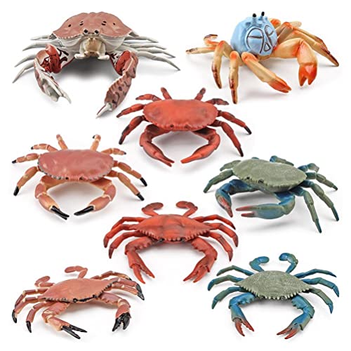 MasYosh Krabbenfigur, 8 Meerestierfiguren, realistisches Meerestierspielzeug, Bürodekoration, pädagogisches Modell, Statische Krabbenfigur für MasYosh Krabbenfigur, 8 Meerestierfiguren, realistisches Meerestierspielzeug, Bürodekoration, pädagogisches Modell, Statische Krabbenfigur für von MasYosh