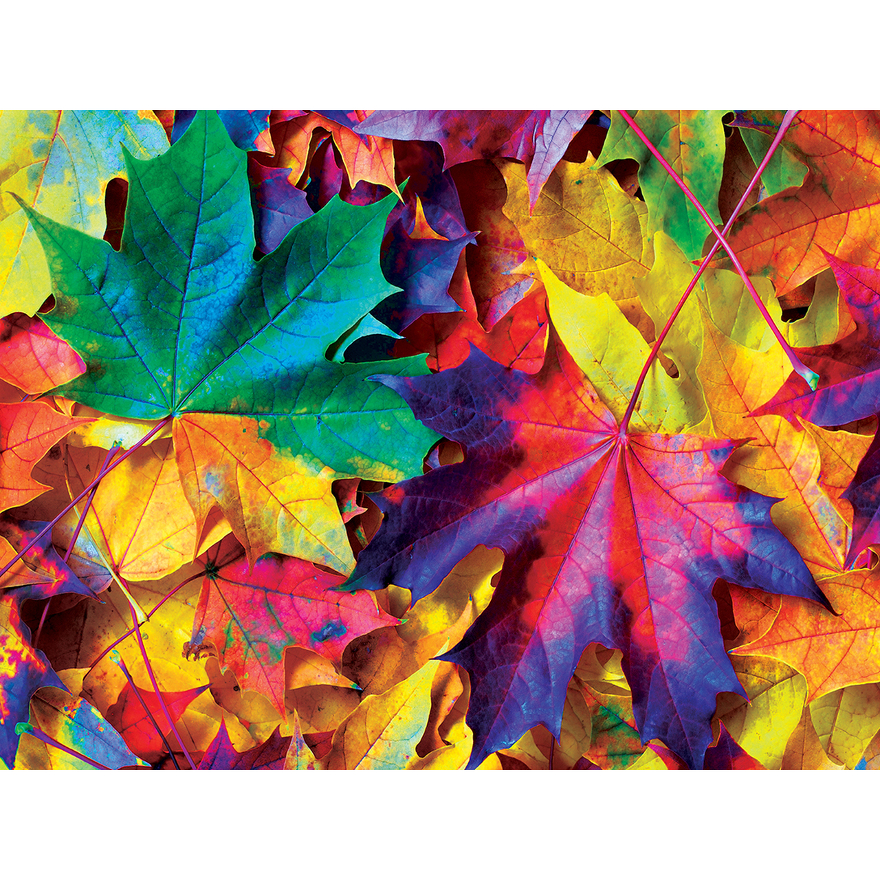 Master Pieces Brilliance - Herbstrausch 500 Teile Puzzle Master-Pieces-31624 von Master Pieces