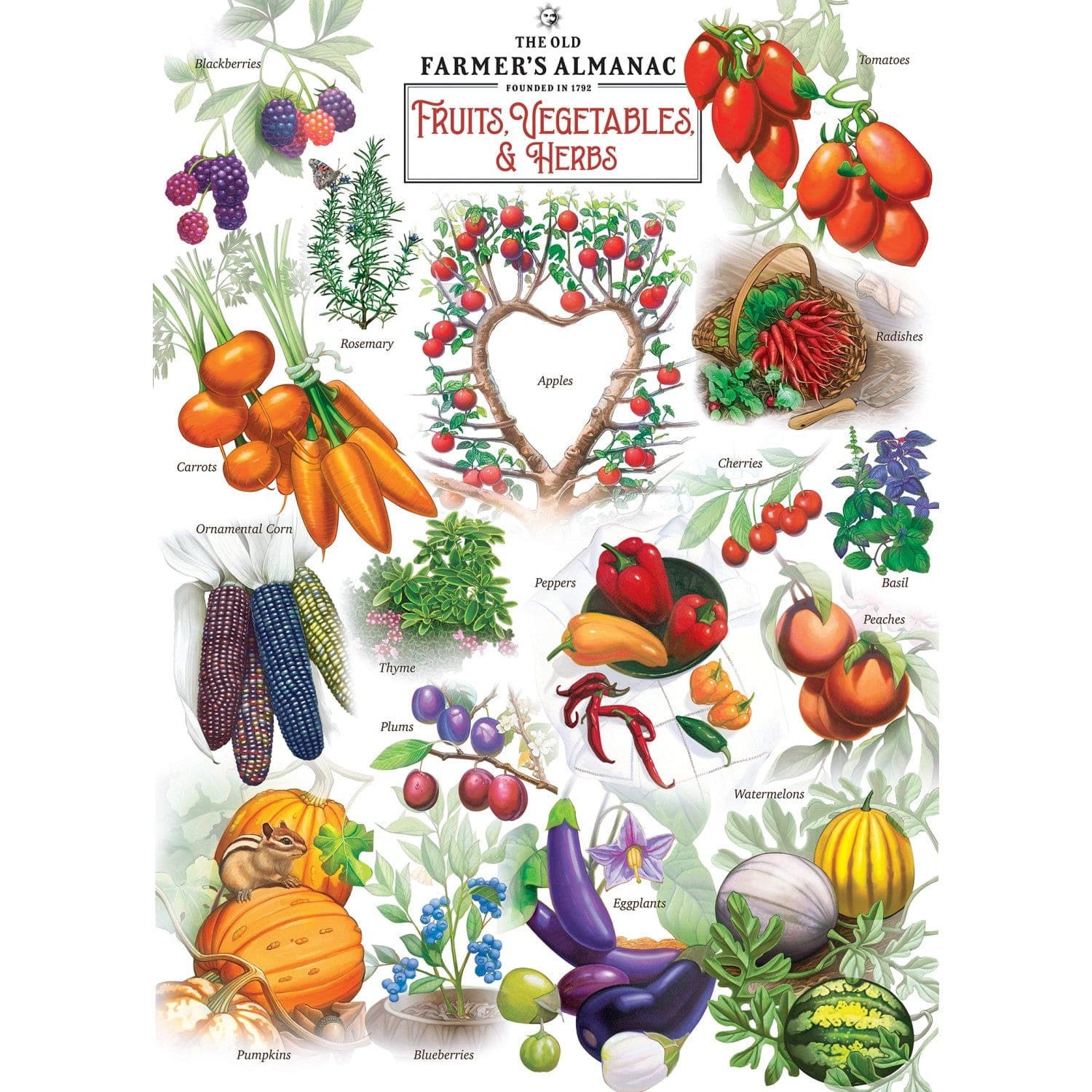 Master Pieces Farmer's Almanach - Obst & Gemüse 1000 Teile Puzzle Master-Pieces-72196 Master Pieces Farmer's Almanach - Obst & Gemüse 1000 Teile Puzzle Master-Pieces-72196 von Master Pieces