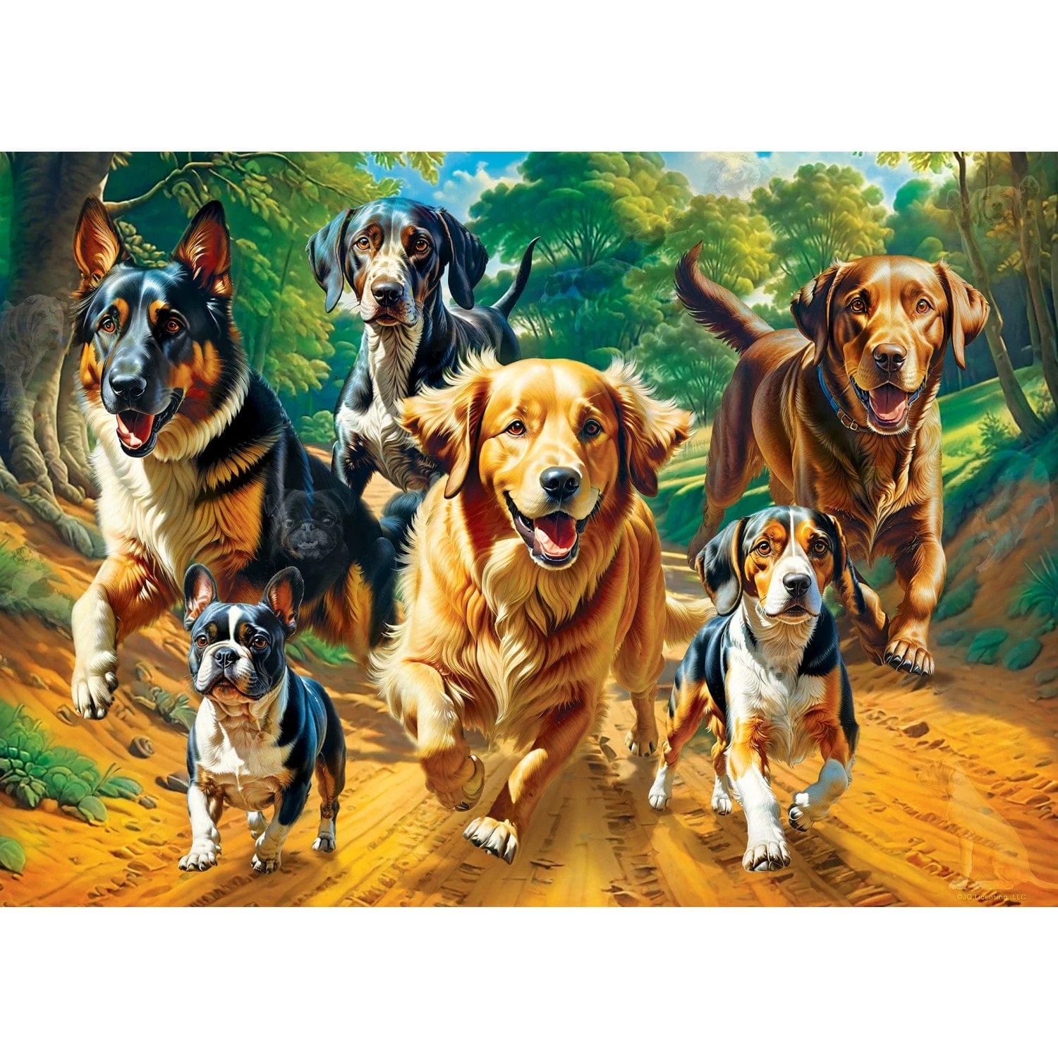 Master Pieces Hidden Images - Trailrunning - Glow in the Dark 500 Teile Puzzle Master-Pieces-32524 von Master Pieces
