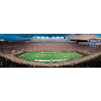 Florida State 1000 Piece Puzzle Florida State 1000 Piece Puzzle von Masterpieces Puzzles
