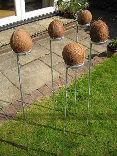 Masters Traditional Games Set of 5 Coconut Shy Posts von Masters Traditional Games