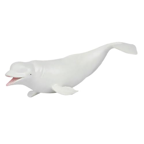 Masyrt Beluga Walmodell, PVC -Kunststoffsimulation Beluga Whale Figur Spielzeug für Heim- und Bürodekor oder Unterricht Masyrt Beluga Walmodell, PVC -Kunststoffsimulation Beluga Whale Figur Spielzeug für Heim- und Bürodekor oder Unterricht von Masyrt