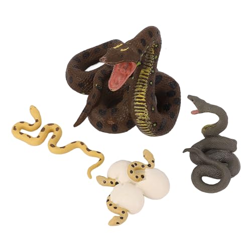 Python Wachstumszyklus Modellspielzeug, Realistisches Bildungsspiel Simuliertes Kinder, Dekorative Tierfiguren für Raum, Lernspielzeug mit Premium -Materialien, Python Wachstumszyklus Modellspielzeug, Realistisches Bildungsspiel Simuliertes Kinder, Dekorative Tierfiguren für Raum, Lernspielzeug mit Premium -Materialien, von Masyrt