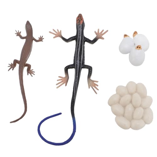 Skink Life Cycle Toy Figuren Tiermodell, PVC High Simulation Skink Life Cycle Toy Sandbox Accessoires, Lebendige Farben und Muster für Kinder Lustige Lernerfahrung Skink Life Cycle Toy Figuren Tiermodell, PVC High Simulation Skink Life Cycle Toy Sandbox Accessoires, Lebendige Farben und Muster für Kinder Lustige Lernerfahrung von Masyrt