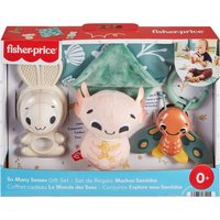 Fisher Price - So Many Senses Gift Set Fisher Price - So Many Senses Gift Set von Mattel