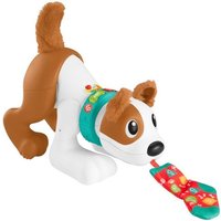 Fisher Price - Bello Spielzeughund, Krabbelspielzeug, Babyspielzeug 6 M. von Mattel