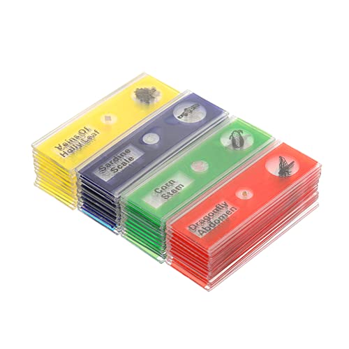 Matybobe Mikroskop-Objektträger aus Kunststoff, für Tiere, Insekten, Pflanzen, Proben-Objektträger mit farbigen Etiketten für Kinder, Studenten, 48-teiliges Set von Matybobe