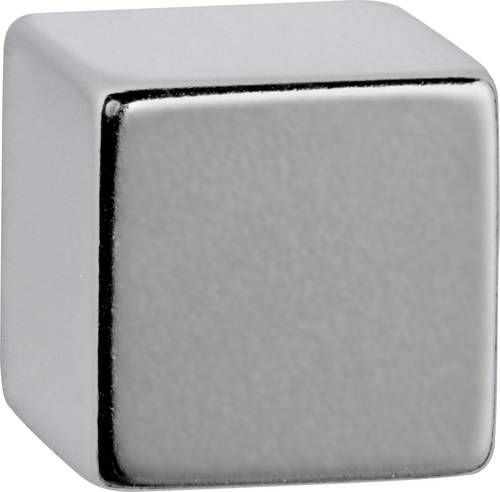 Maul Neodym Magnet (B x H x T) 20 x 20 x 20mm Würfel Silber 1 St. 6169496 von Maul