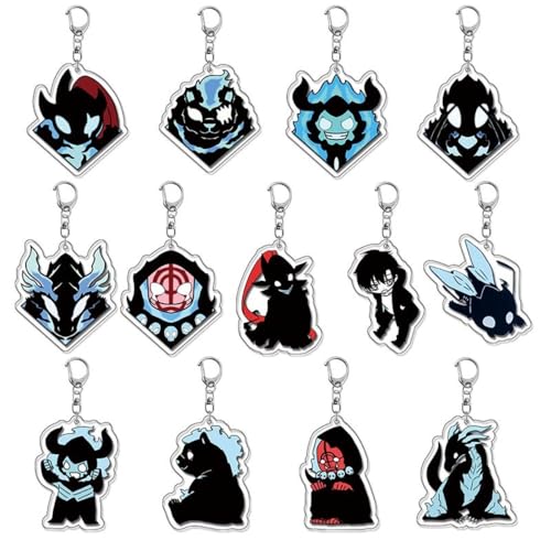 MayDee Solo Level Schlüsselanhänger Chibi Figur Keychain, 13 Acryl Jinwoo Solo Level Figur Anhänger Für Anime Fans von MayDee
