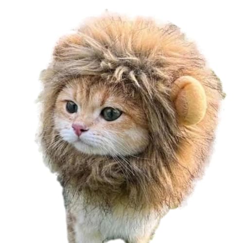 Katzenlöwenmähne, Katzen-Löwen-Kapuze, Löwenhaar-Kostüm, Katzen-Cosplay-Kleidung, Katzen-Cosplay-Kleidung, Haustier-Katzenkostüm, Kostüm Katzenlöwenmähne, Katzen-Löwen-Kapuze, Löwenhaar-Kostüm, Katzen-Cosplay-Kleidung, Katzen-Cosplay-Kleidung, Haustier-Katzenkostüm, Kostüm von Mbiyhgta