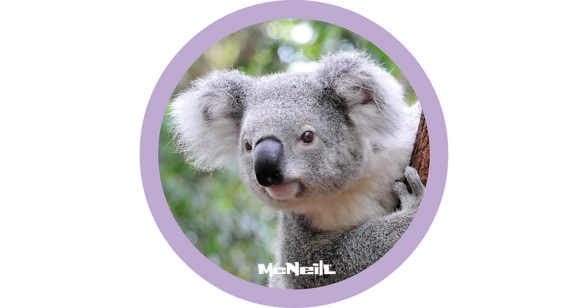 McAddy Motivmagnet Dschungel Koala grau von McNeill