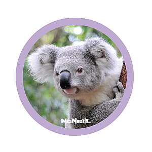 McNeill McAddys Dschungel Koala von McNeill