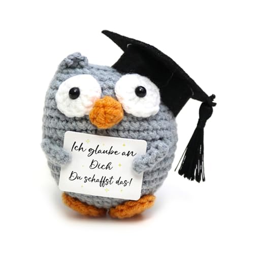 Abschluss Geschenk Gestrickte Eule Puppe,Glücksbringer Prüfung,Eule Pocket Hug Bestandene Prüfung Geschenk,Ich glaube an Dich,Du schaffst das!Positive Eule Deutsch Abschluss Geschenk Gestrickte Eule Puppe,Glücksbringer Prüfung,Eule Pocket Hug Bestandene Prüfung Geschenk,Ich glaube an Dich,Du schaffst das!Positive Eule Deutsch von Meanju