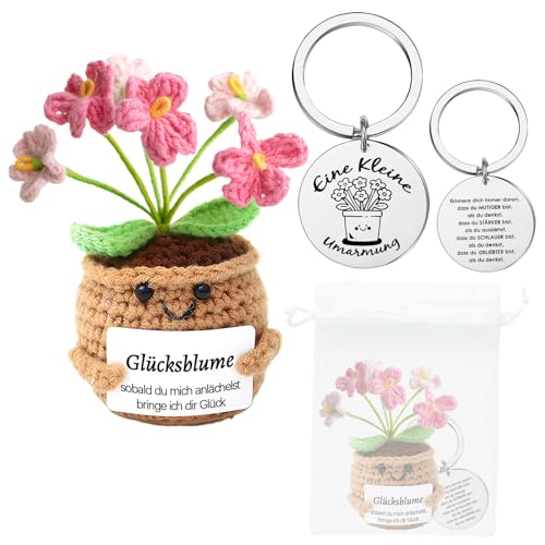 Meanju Pocket Hug Positive Pflanze, Positive Kartoffel Geschenke für Frauen, Kreative Gehäkelte Blumen mit Umarmung Glücksbringer, Mutmacher Schulabschluss Geschenk für Freund Familie Kollegen von Meanju