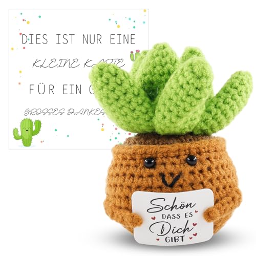 Meanju Dankeschön Geschenke,Positive Sukkulente Deutsch Glücksbringer,ür Freunde Kollegen und Famili von Meanju