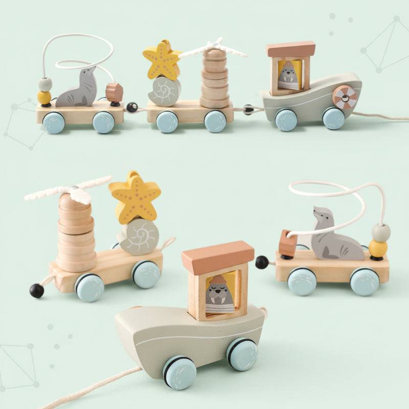 Color Spring– Spielen&Entwickeln– Sensorisches Babyspielzeug aus Holz Seal Train | Pädagogisches Holzspielzeug von Mein Kleines Baby
