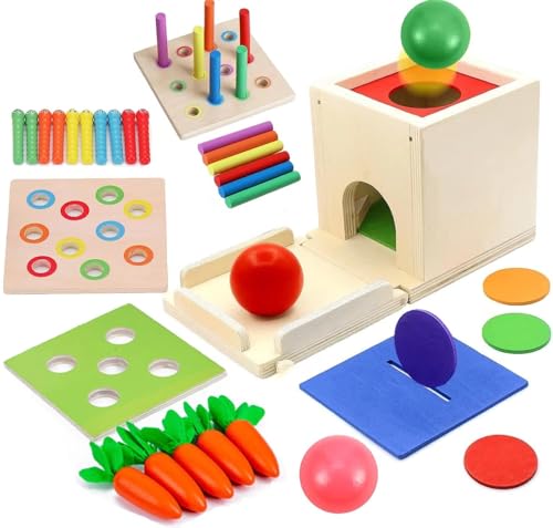 Meiruier 6-In-1 Montessori Münzbox,Ball Drop,Montessori Spielzeug ab 1 Jahr,Montessori Fischen,Karottenernte Lernspielzeug,Stapelspielzeug Lernspielzeug Geschenk für Kinder (6-IN-1) von Meiruier
