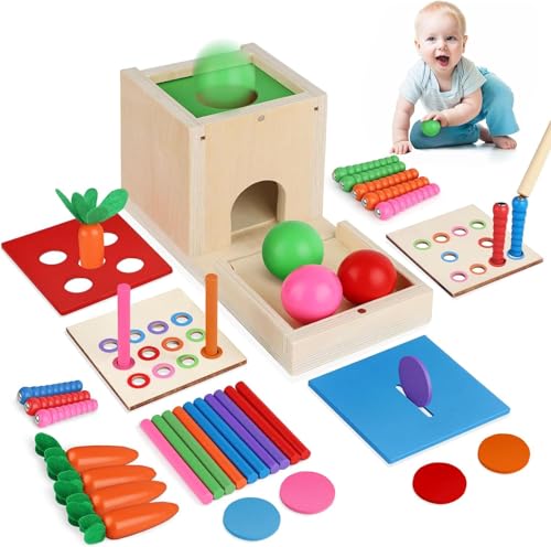 Meiruier 6-In-1 Montessori Münzbox,Ball Drop,Montessori Spielzeug ab 1 Jahr,Montessori Fischen,Karottenernte Lernspielzeug,Stapelspielzeug Lernspielzeug Geschenk für Kinder (6-IN-1) von Meiruier