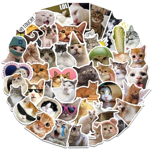 50 Stück Lustige Katzen Aufkleber Set, Wasserfeste Meme Sticker, Kreatives DIY für Laptop, Mobiltelefon, Skateboard, Gepäck & mehr - Geeignet für Erwachsene & Kinder von Meleager