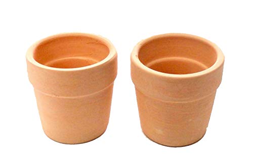 Melody Jane Puppenhaus 2 Large Lehm Terrakotta Pflanzen Töpfe Gartenzubehör Melody Jane Puppenhaus 2 Large Lehm Terrakotta Pflanzen Töpfe Gartenzubehör von Melody Jane