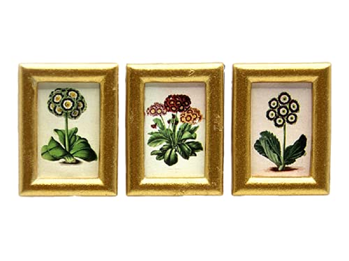 Melody Jane Puppenhaus 3 Auriculas Blume kleines Bild Gemälde Goldrahmen 1:12 Zubehör von Melody Jane