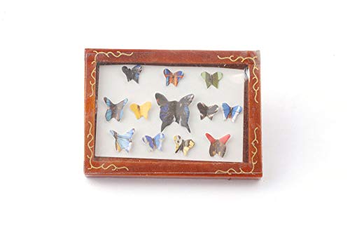 Melody Jane Puppenhaus Schmetterling Display Box Collage Bilderrahmen Deko Zubehör 1:12 von Melody Jane