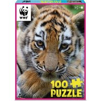Tigerjunge 100 Teile von Merchant Ambassador (Holdings)Ltd.