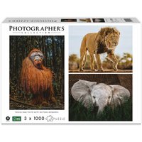 Wildtiere 3x1000 Teile (Puzzle) von Merchant Ambassador (Holdings)Ltd.