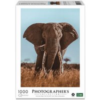 Ambassador - Afrikanischer Elefant, Donal Boyd, 1000 Teile von Merchant Ambassador