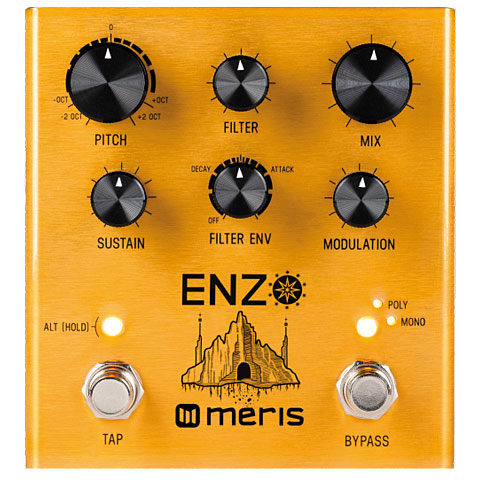 Meris Enzo Effektgerät E-Gitarre von Meris