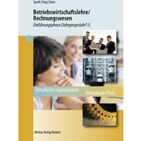 Betriebswirtschaftslehre/Rechnungswesen. Einführungsphase (Jahrgangsstufe 11) Rheinland-Pfalz von Merkur Rinteln