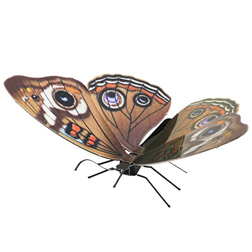 Fascinations MMS124 Metal Earth Metallbausätze - Schmetterling Butterfly Buckeye, lasergeschnittener 3D-Konstruktionsbausatz, 3D Metall Puzzle, DIY Modellbausatz mit 1 Metallplatine, ab 14 Jahre Fascinations MMS124 Metal Earth Metallbausätze - Schmetterling Butterfly Buckeye, lasergeschnittener 3D-Konstruktionsbausatz, 3D Metall Puzzle, DIY Modellbausatz mit 1 Metallplatine, ab 14 Jahre von Metal Earth