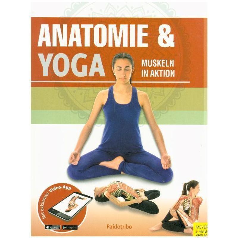 Anatomie & Yoga, m. 1 Buch, m. 1 Beilage von Meyer & Meyer Sport