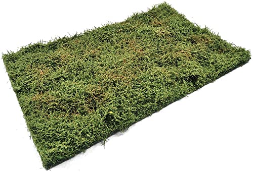 Ammo by mig Jimenez – Ammo by Mig Jimenez – Zubehör Diorama Wilderness Fields with Bushes – Early Summer Ammo by Mig Jimenez Amig8363 Modellpanzer von Mig Jimenez