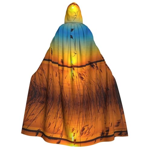 Migpkd Reeds By The River Halloween-Umhang mit Kapuze, Hexenmantel, Umhang mit Kapuze für Erwachsene, Cosplay-Kostüm von Migpkd