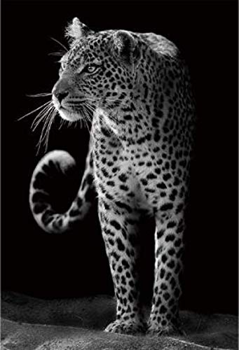 Puzzle | schwarz-weißer Leopard Spielzeugpuzzles | Puzzle 1000 Teile Puzzle | schwarz-weißer Leopard Spielzeugpuzzles | Puzzle 1000 Teile von Migsrater