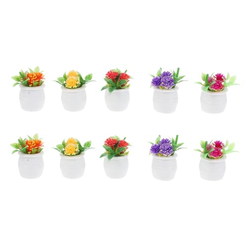 Mikikit 10 Stück Mini-Simulation Topfpflanze realistisch winzig klein Grün Form Pflanzen künstliche Blume Sukkulente Bonsai Bonsai-Miniaturfiguren gefälschter Bonsai -Baum Plastik Mikikit 10 Stück Mini-Simulation Topfpflanze realistisch winzig klein Grün Form Pflanzen künstliche Blume Sukkulente Bonsai Bonsai-Miniaturfiguren gefälschter Bonsai -Baum Plastik von Mikikit