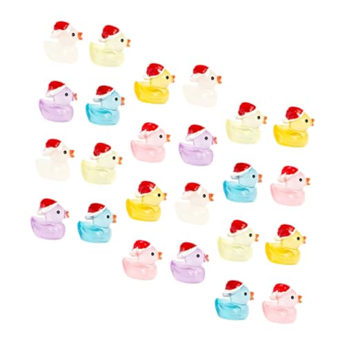 Mikikit 30 Stück Teiliges Mini Resin Enten mit Nachtleuchtfunktion Farbenfrohe Weihnachts Dekoration für Mikro Landschaften und Bonsai Niedliche Kleine Figuren mit Schneeszene für von Mikikit