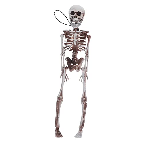 Mikikit Bewegliches Kleines Skelettmodell Halloween Deko mit Realistischem Ganzkörperdesign Leicht und Vielseitig für Party Cosplay und Gruselige Dekorationen von Mikikit