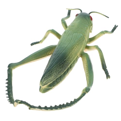 Mikikit Heuschreckenverzierungen Fehler Für Gefälschte Fehler Mini-tierfiguren Cricket-streich Ameisenmodell Aus Kunststoff Gefälschte Cricket-Requisiten PVC Grün Mikikit Heuschreckenverzierungen Fehler Für Gefälschte Fehler Mini-tierfiguren Cricket-streich Ameisenmodell Aus Kunststoff Gefälschte Cricket-Requisiten PVC Grün von Mikikit