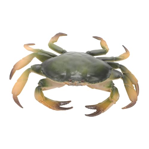 Mikikit Künstliche Modell für Aquarium Dekoration Realistische Simulation aus Pädagogisches Spielset für Lebendige Farben für Mikikit Künstliche Modell für Aquarium Dekoration Realistische Simulation aus Pädagogisches Spielset für Lebendige Farben für von Mikikit