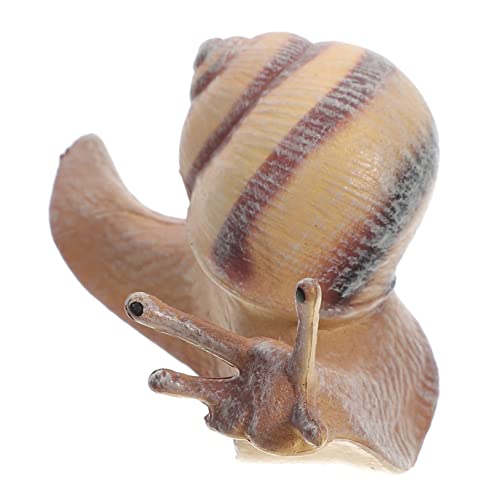 Mikikit Realistische Schneckenfigur Simulation Tiermodell Lernspielzeug Garten Dekoration Lebensecht und Vielseitig Einsetzbar Mikikit Realistische Schneckenfigur Simulation Tiermodell Lernspielzeug Garten Dekoration Lebensecht und Vielseitig Einsetzbar von Mikikit