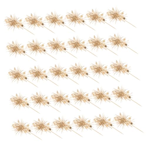 Mikinona 100 Stück Kuchen Plugin Cupcake Ornamente Geburtstagskuchen Einsatz Lametta Cupcake Topper Happy Birthday Kuchen Picker Funkelnde Cocktail Mikinona 100 Stück Kuchen Plugin Cupcake Ornamente Geburtstagskuchen Einsatz Lametta Cupcake Topper Happy Birthday Kuchen Picker Funkelnde Cocktail von Mikinona