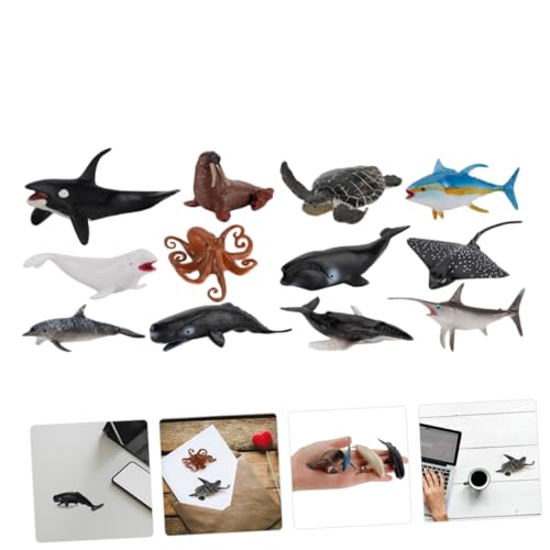 Mikinona 12 Stück Teiliges Realistische Meerestiere aus Langlebige Farbechte Miniatur Modelle für Pädagogisches Meeres lebenswelt von Fantasie und Wissen von Mikinona