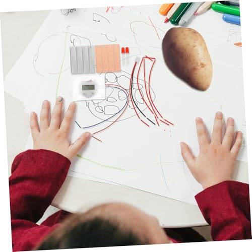 Mikinona 2 Sätze DIY Fruchtbatterie Experimentierset Metallmaterial Wiederverwendbar Sicher Pädagogisches Wissenschaftsspielzeug Für Schüler Stem Wissenschaftliches Lernspielzeug von Mikinona