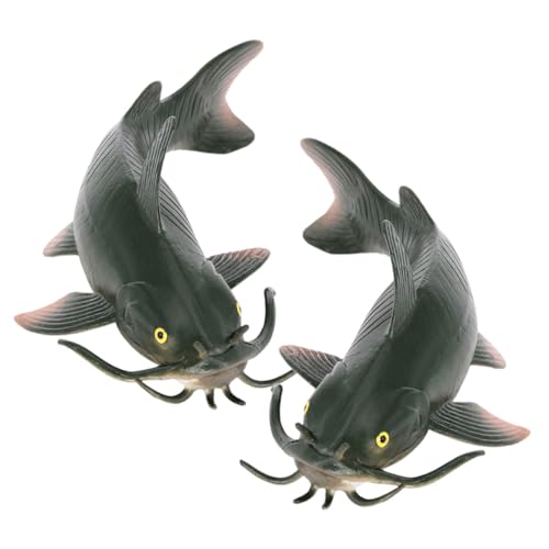 Mikinona 2 Stück Realistisches Welsmodell Pädagogisches Fischspielzeug für Naturkunde Lernspielzeug Fördert Neugier und Kreativität Geeignet als Geschenk und Partydeko von Mikinona