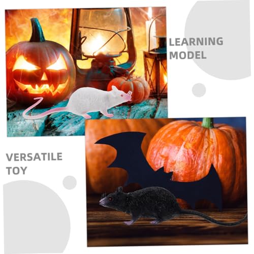 Mikinona 3 Stück Teiliges Realistisches Mausspielzeug Lebensechte Mausfiguren in Großem Maßstab Detailgetreu Gefertigt für Halloween Dekoration Party Requisiten und Kulturelle Mikinona 3 Stück Teiliges Realistisches Mausspielzeug Lebensechte Mausfiguren in Großem Maßstab Detailgetreu Gefertigt für Halloween Dekoration Party Requisiten und Kulturelle von Mikinona