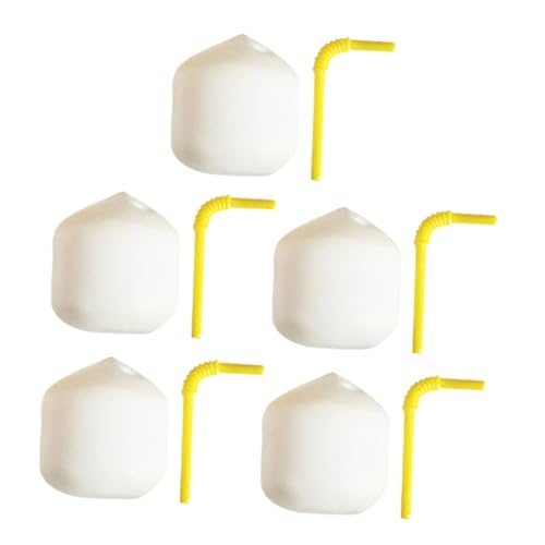 Mikinona 5 Stück Miniature Kokosnüsse Realistische Dekoration für Puppenhäuser Fotorequisiten und Tischcenterpieces Langlebige Künstliche Kokosnüsse für Vielseitige Anwendungen Mikinona 5 Stück Miniature Kokosnüsse Realistische Dekoration für Puppenhäuser Fotorequisiten und Tischcenterpieces Langlebige Künstliche Kokosnüsse für Vielseitige Anwendungen von Mikinona